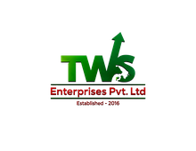 TWS Enterprises logo